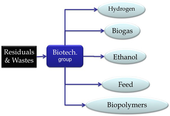 Bioteknik som ett verktyg för att lösa miljöproblem