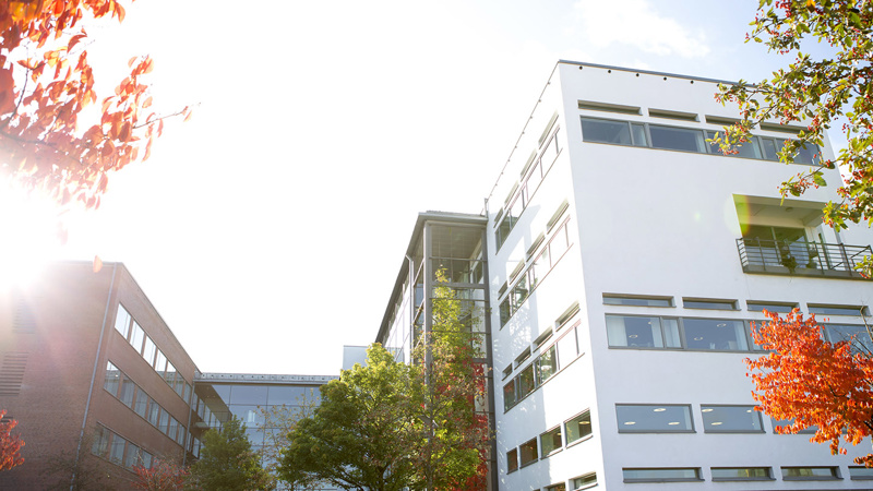 Staff - University of Borås