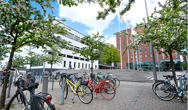 Högskolan i Borås 
