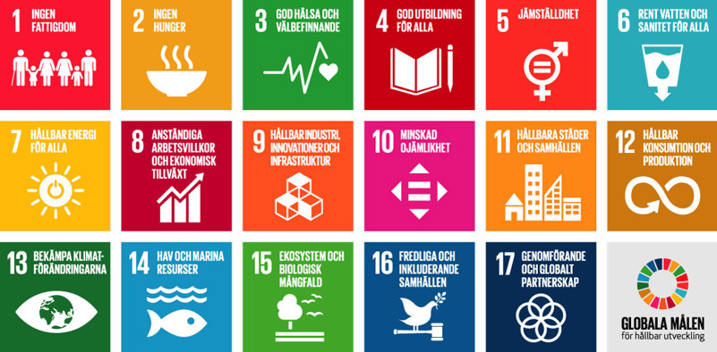 Illustration: UN's 17 global goals